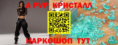 гашик Нальчик