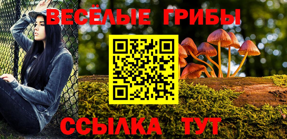 Галлюциногенные грибы Magic Shrooms Семёнов