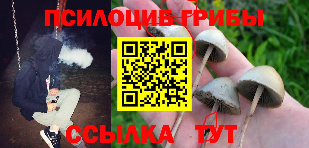 Псилоцибиновые грибы Magic Shrooms  Вход с VPN  Псилоцибиновые грибы MAGIC MUSHROOMS  Семёнов 